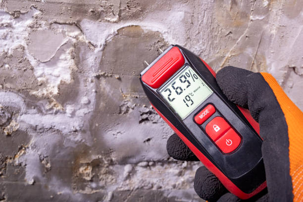 Best Mold Remediation  in Inez, TX