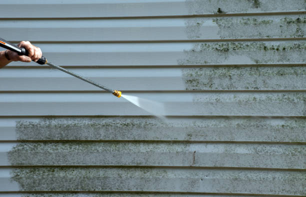 Mold Removal and Inspection in Inez, TX
