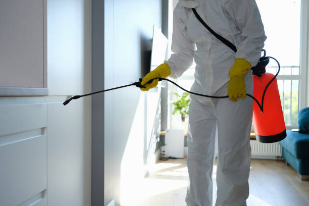 Best Mold Cleaning Services  in Inez, TX