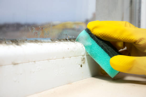 Water Damage Restoration in Inez, TX