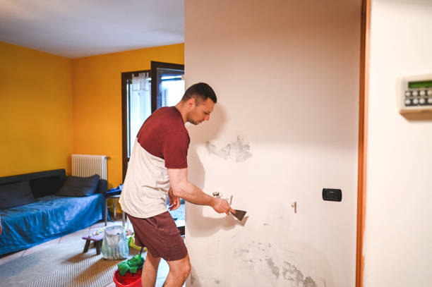 Best Commercial Mold Removal  in Inez, TX